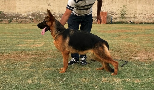 Cassidy vom Team Friends