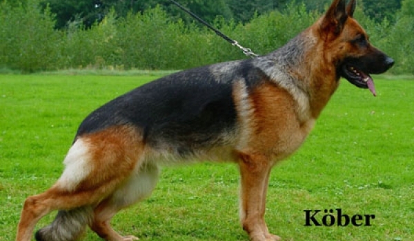 Mara aus Wattenscheid