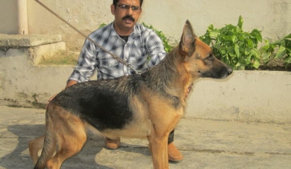 Andora vom Pistachio