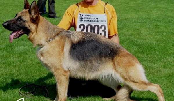 Farina von der Noriswand