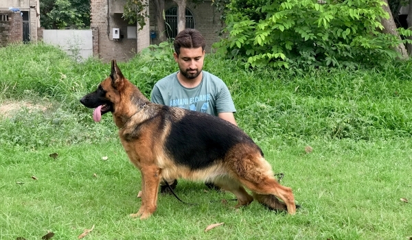 Beauty vom Blacky Wall