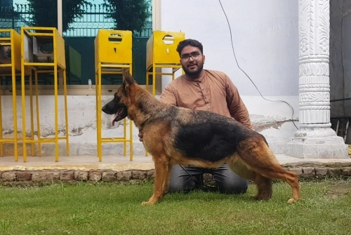 Wimi vom Ravizwinger