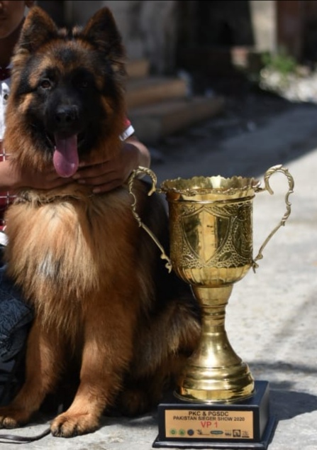 Agron von der Bart Gruppe