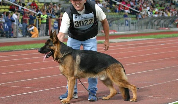 Ronaldo von der Noriswand