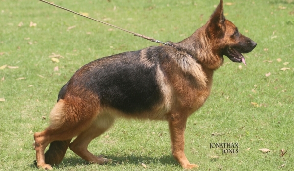 Kissi von Pallas Athene