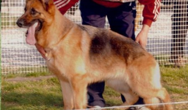 Alba di Casa Beggiato