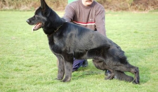 Nolan vom alten Wingertshaus