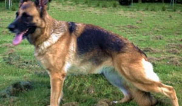 Katrin vom Butjenter Land