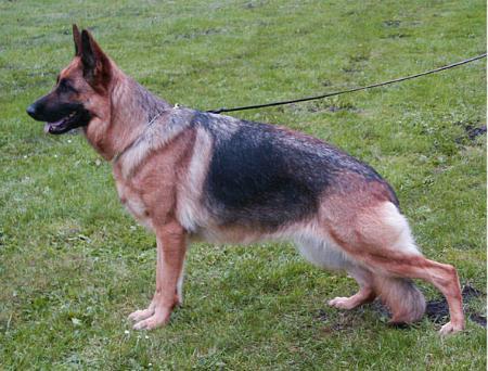 Bera von Bockhorster See 