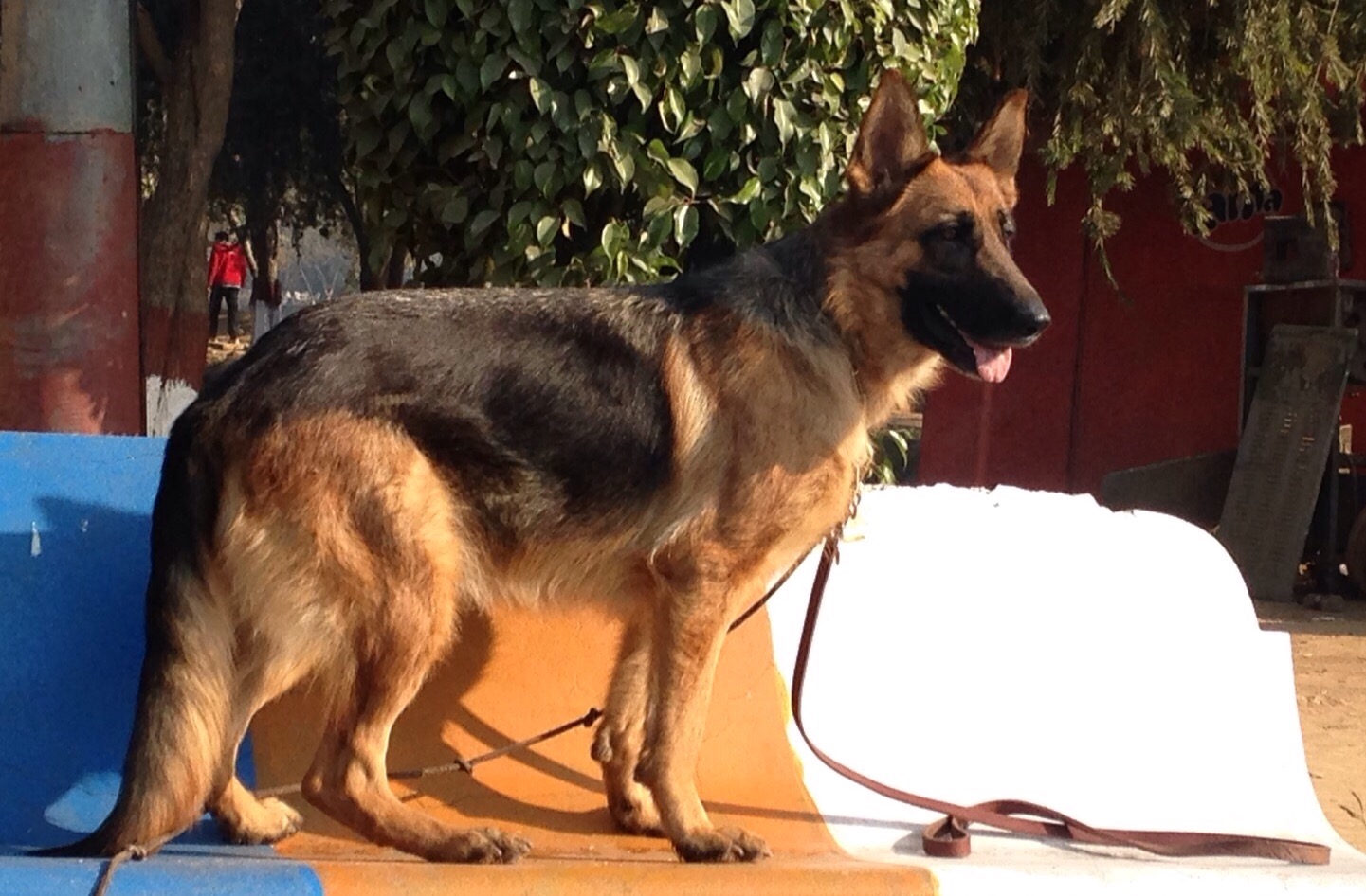 Imola vom The Team Valancia