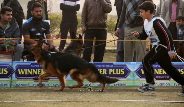 Maggie vom The Team Valancia