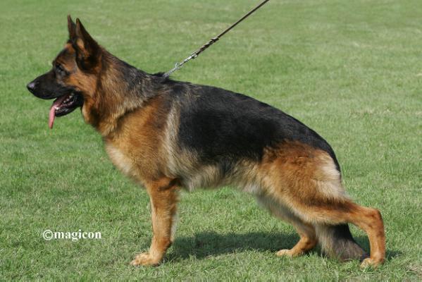 Baru di Croce Santo Spirito 