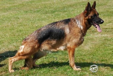 Avance-April v. Adelplatz