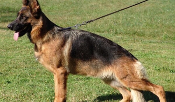 Neele aus der BrunnenstraBe