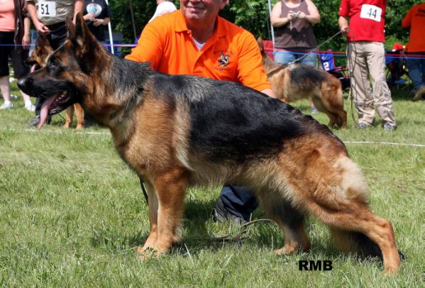 Eliza vom Kuckucksland 