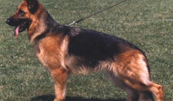 Connie vom Farbenspiel