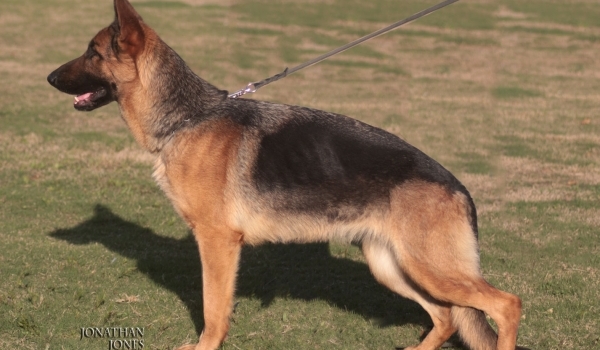 Jilly vom Team Valancia