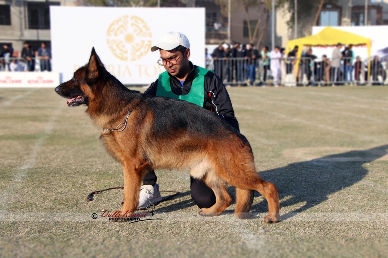 Christoh vom Pendler