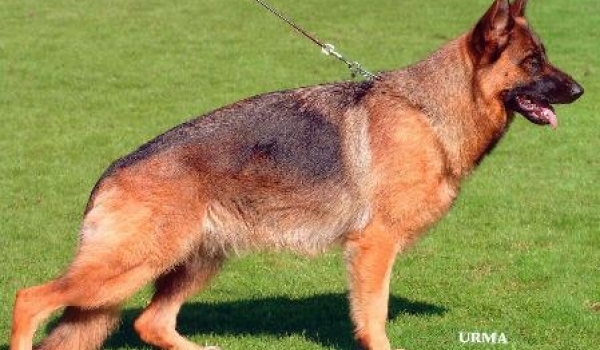 Heksa von der Werther-Mühle