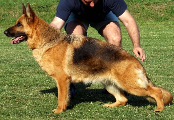 Vida Armandia Lidderdali