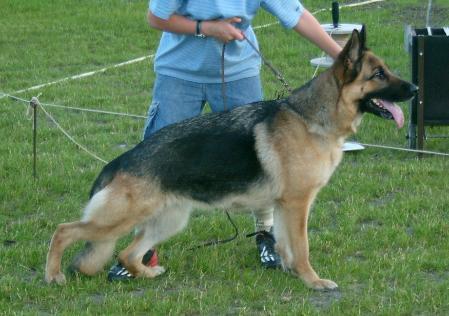 Queen vom Hause Monika