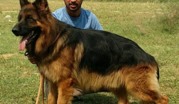 Carny vom Samberger Land