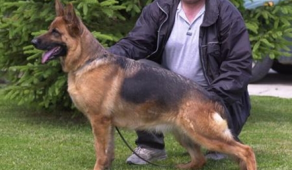 Zarra vom Funken Spiel