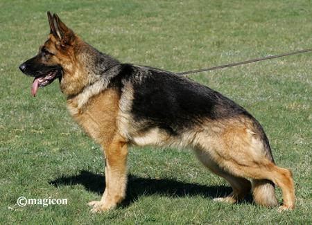 Toska vom Frankengold