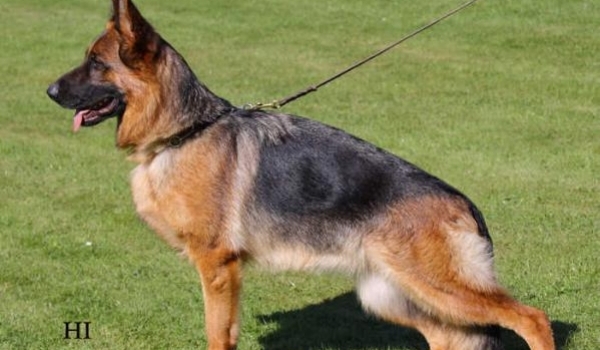 Hilary von der Piste Trophe