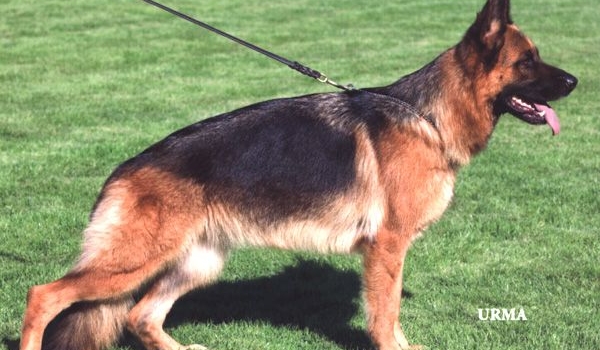 Osaka von der Noriswand