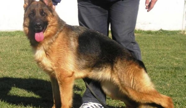 Reike Splitberg (BG)