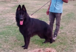 Etto Vom Fighter Hoff