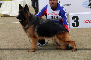 Magrid von der Jugprom