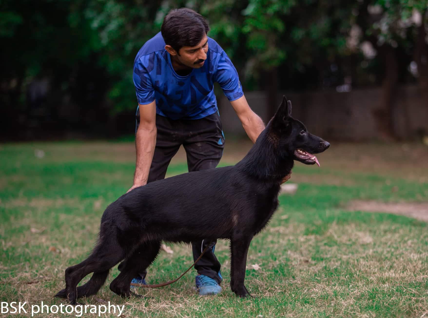 Nightingale vom Sadanwali