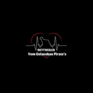 Muhammad Tayyab & Ahmed Mujtaba